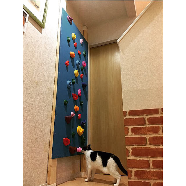 mi-koriさんの実例写真