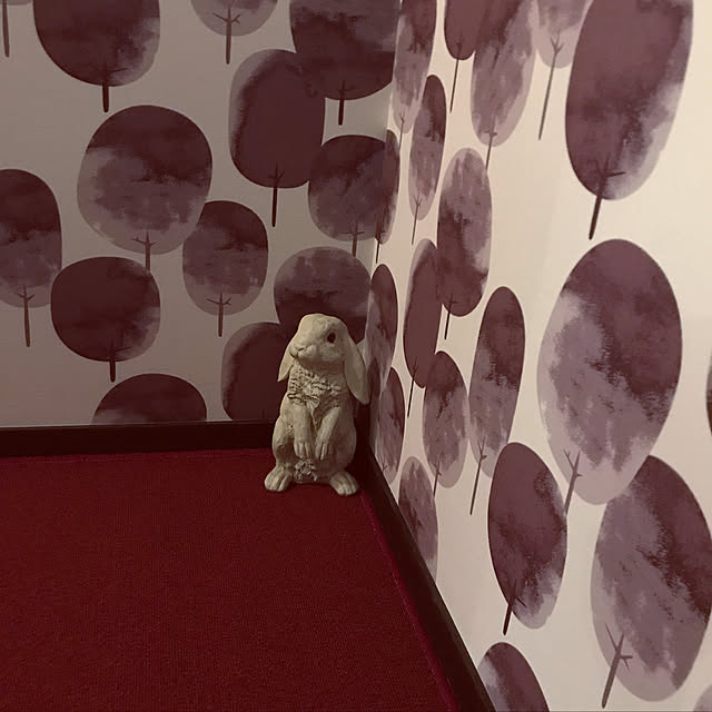 kanaさんの実例写真