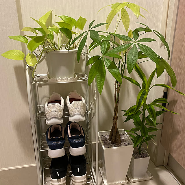 観葉植物 アイアンラックのおすすめ商品とおしゃれな実例 観葉植物 アイアンラックのおすすめ商品とおしゃれな実例