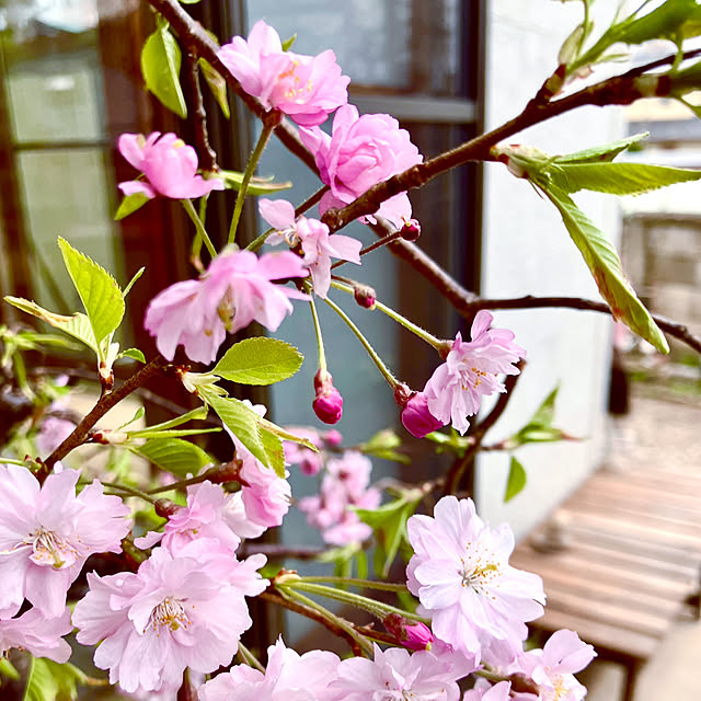 mary_loveさんの部屋