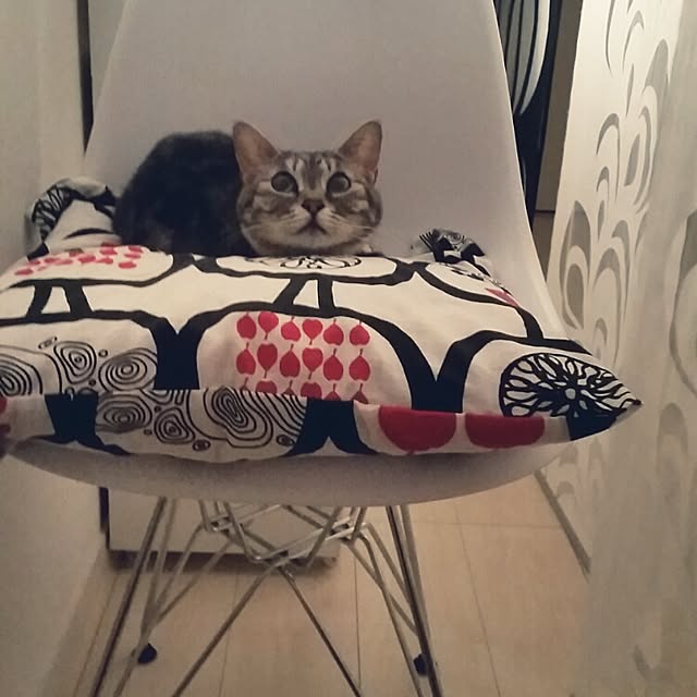 runayucoさんの実例写真