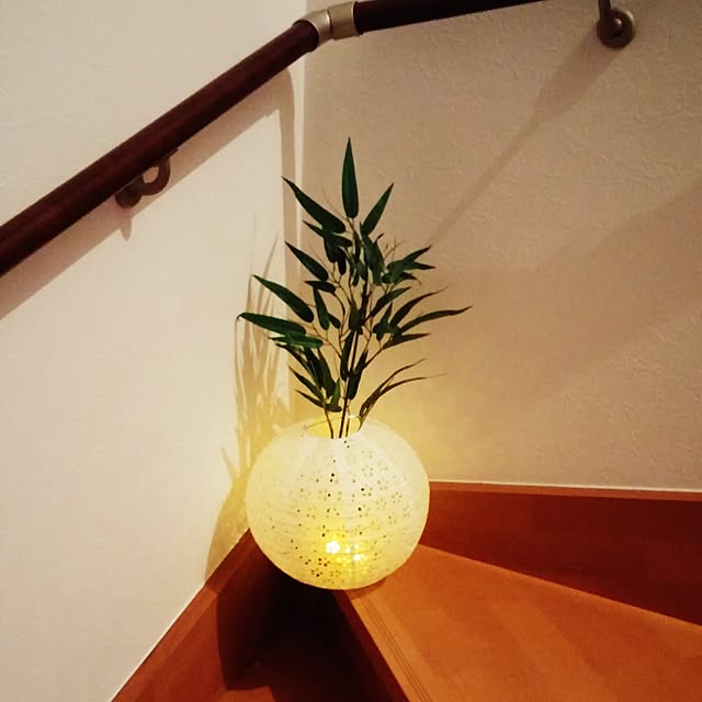aquaさんの実例写真