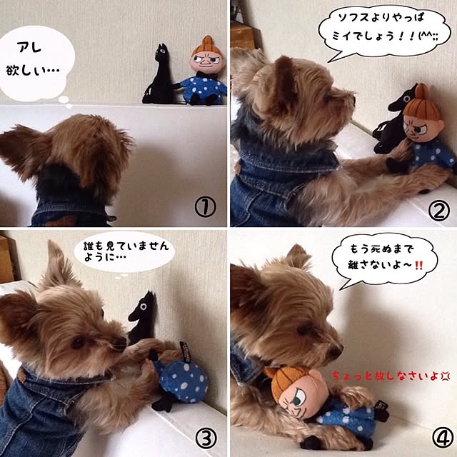 Mikaさんの実例写真