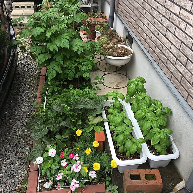 ray55さんの実例写真