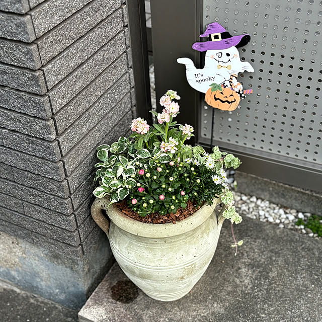 maayaさんの部屋