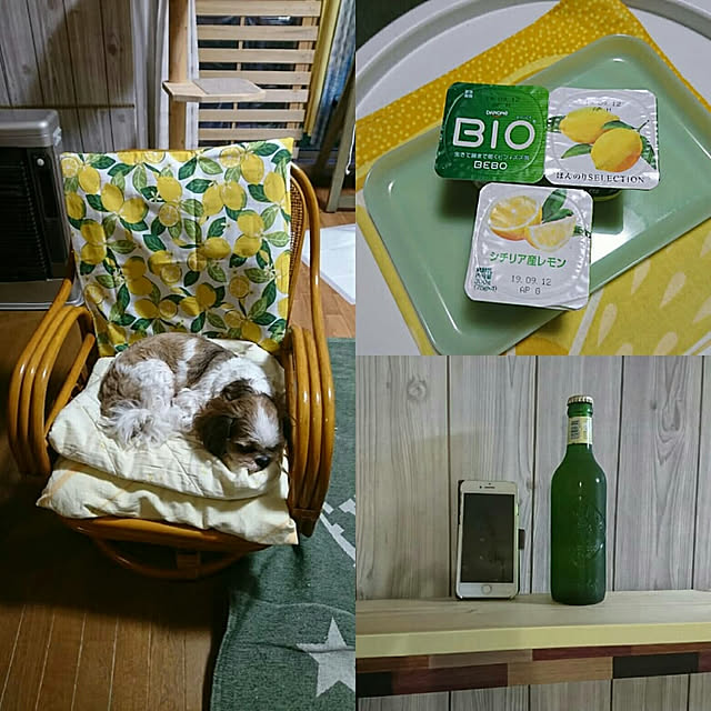 SHIHOさんの実例写真