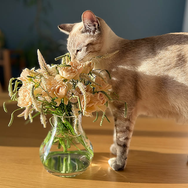 amさんの部屋