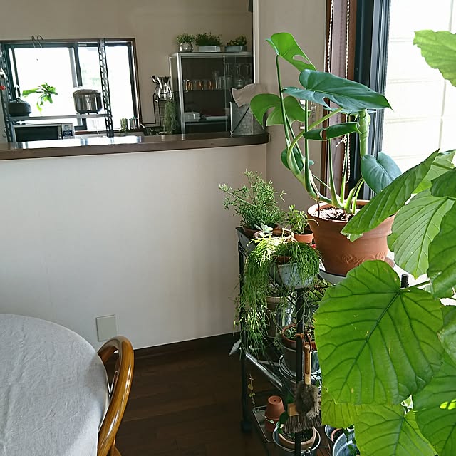 Kさんの実例写真