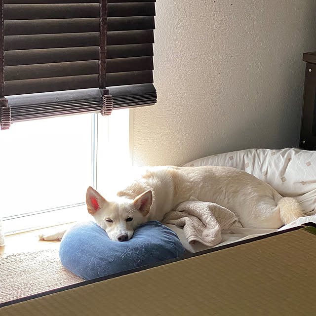 tanboさんの部屋