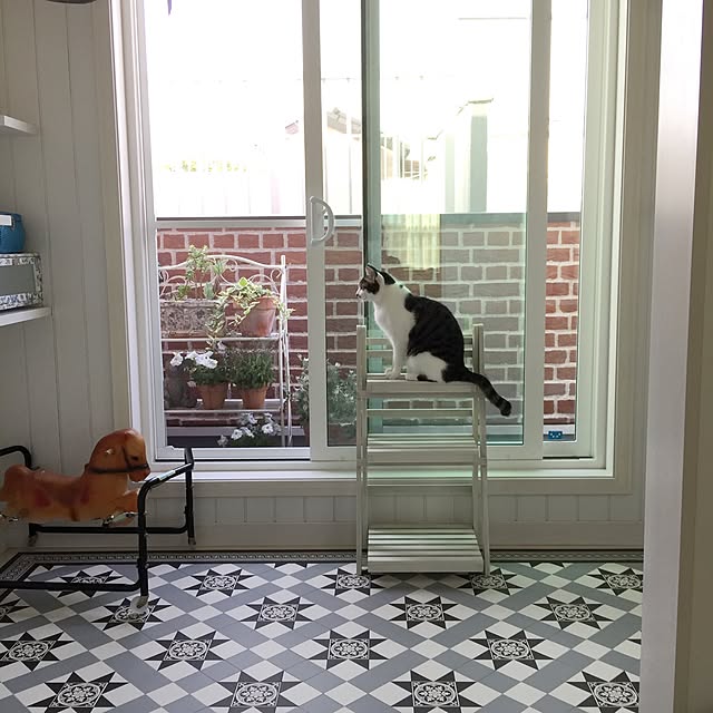 yuchiさんの実例写真