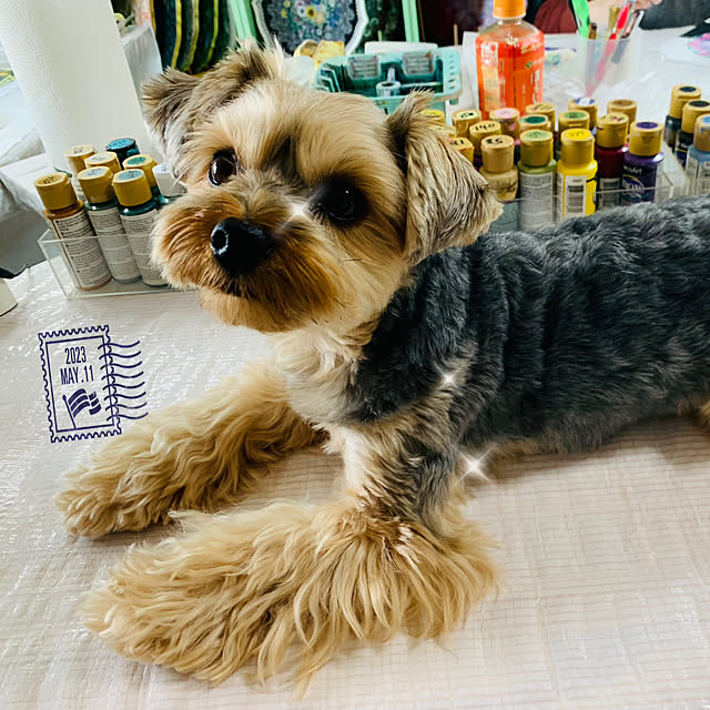 majoramさんの部屋