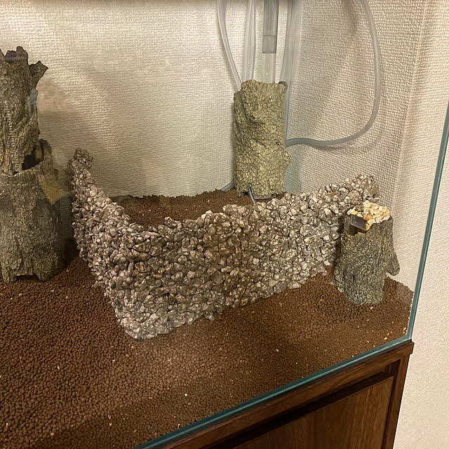 ayapigeonさんの実例写真