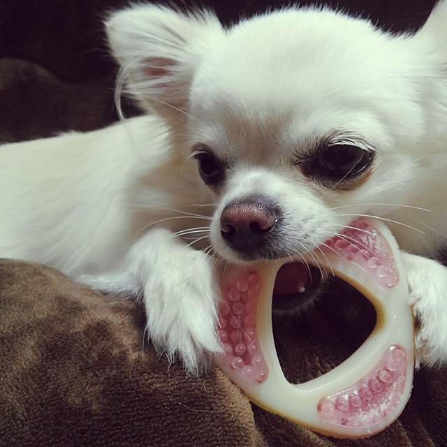 okuriさんの実例写真