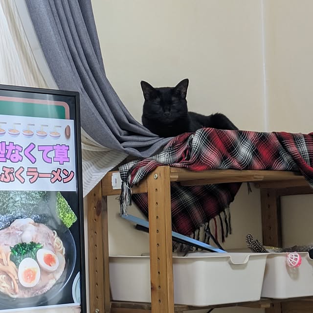 asaさんの部屋