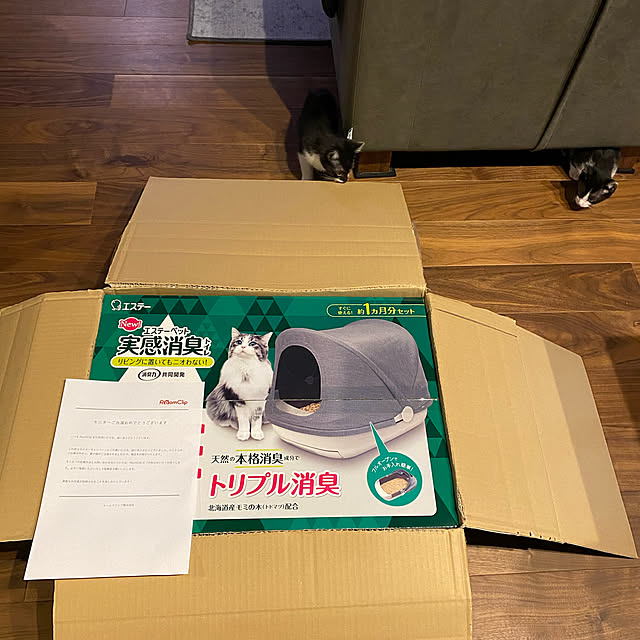 porinさんの実例写真