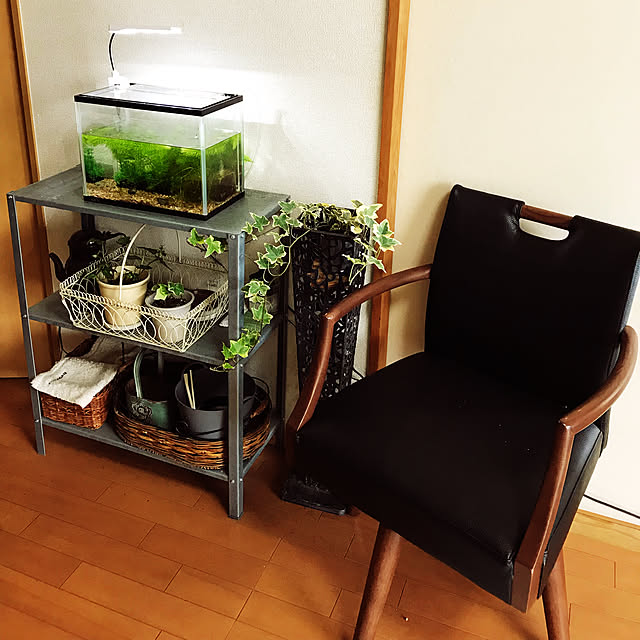 cagosukiさんの実例写真