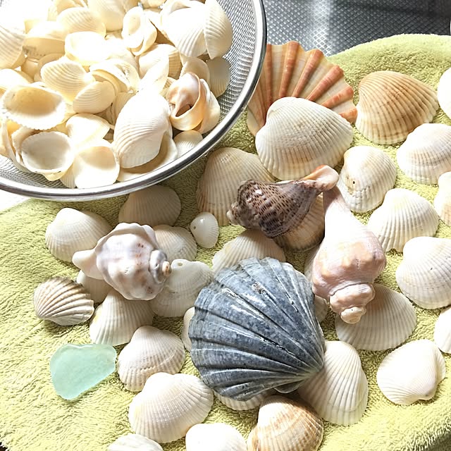 takaさんの実例写真
