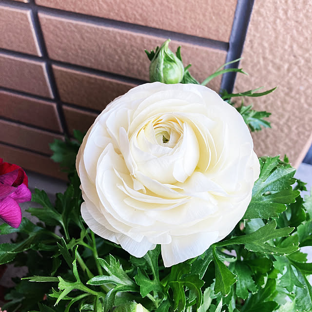 kotoripさんの実例写真