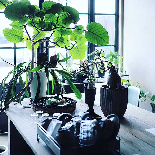 Junk_sweet_Garden_teftefさんの実例写真
