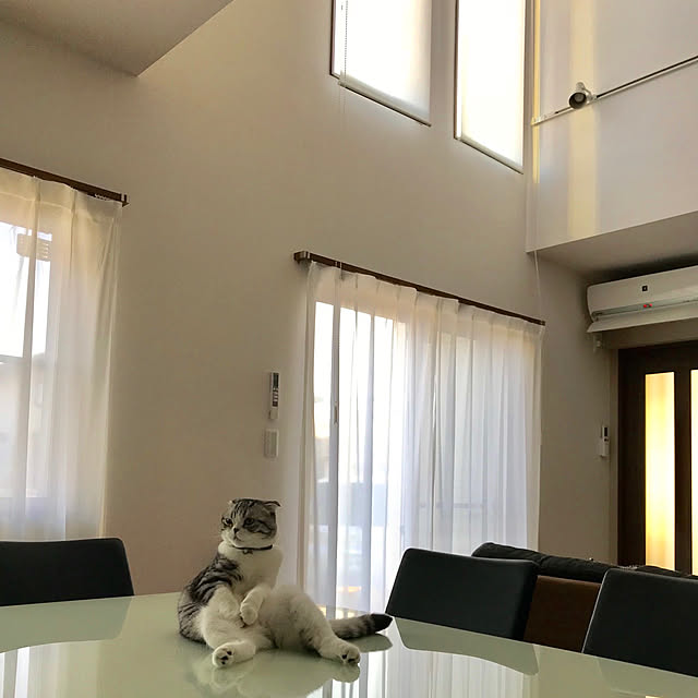 Dahliaさんの実例写真