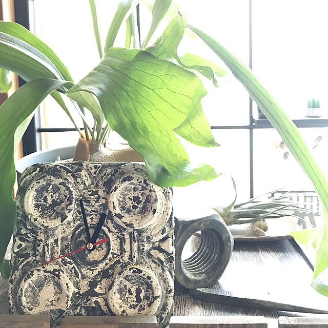 amさんの実例写真