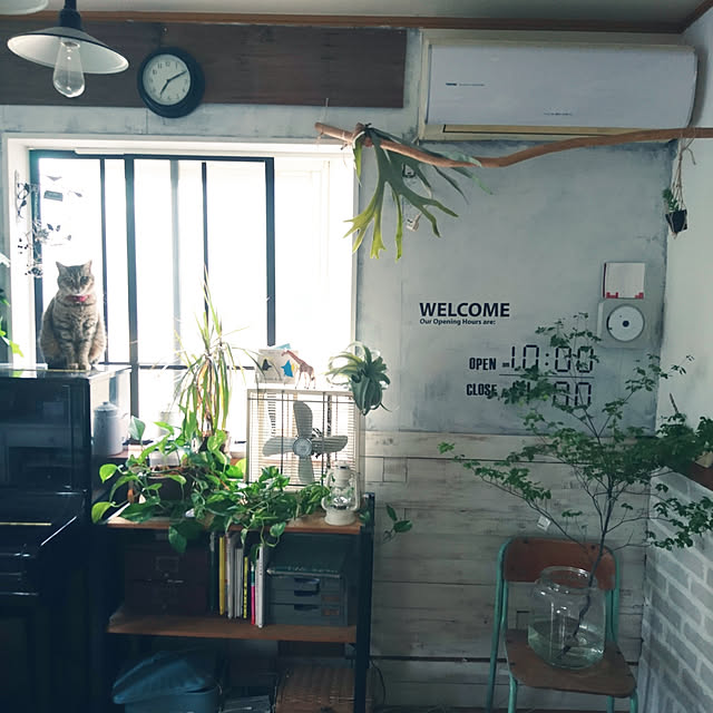 montresoryuzuhaさんの実例写真