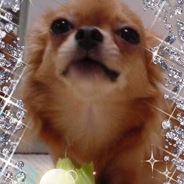 Yuiriさんの実例写真
