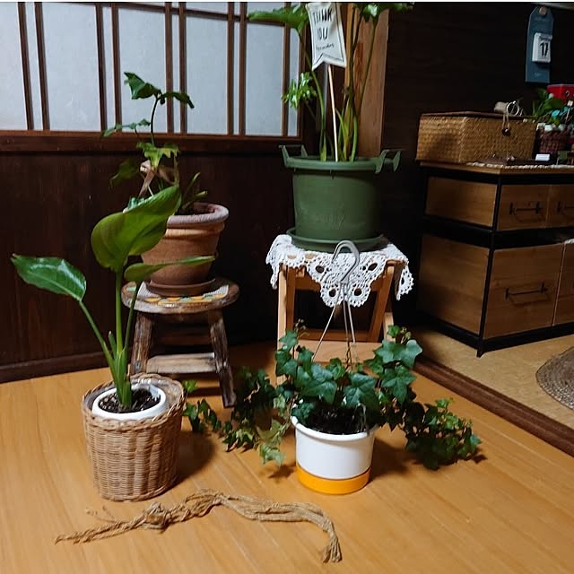 fukuさんの部屋