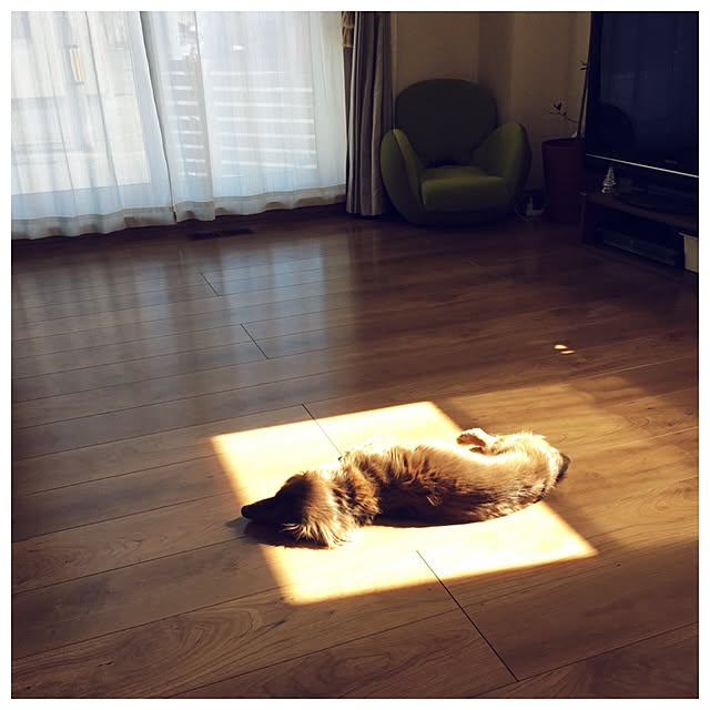 kanaさんの実例写真