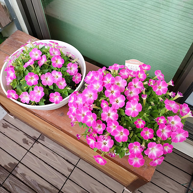 VERANDARJUNさんの実例写真