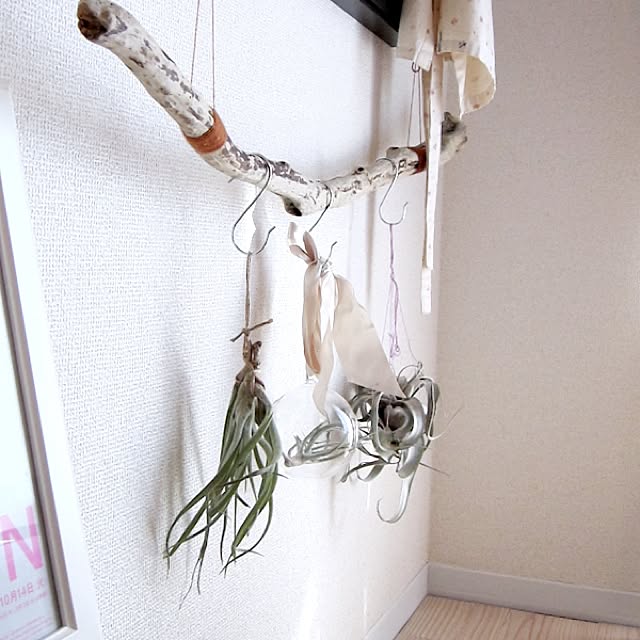 qさんの実例写真