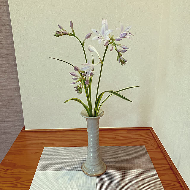 syachiさんの実例写真