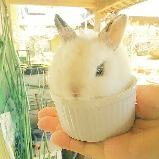Mattiさんの実例写真