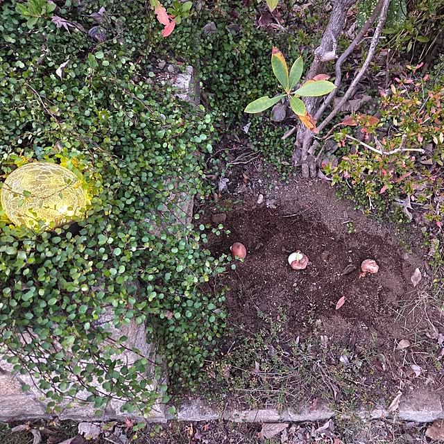 MARIE.color.interiorさんの部屋