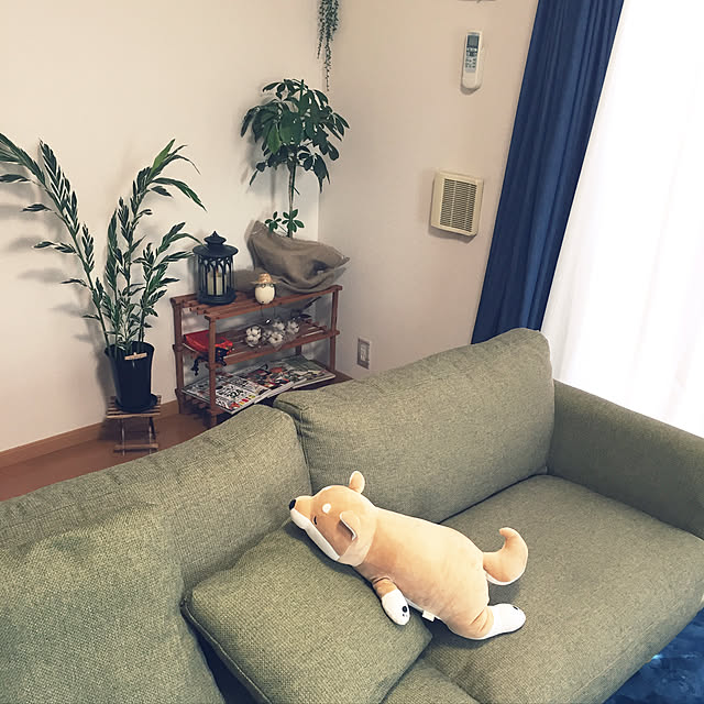 ayumiさんの実例写真