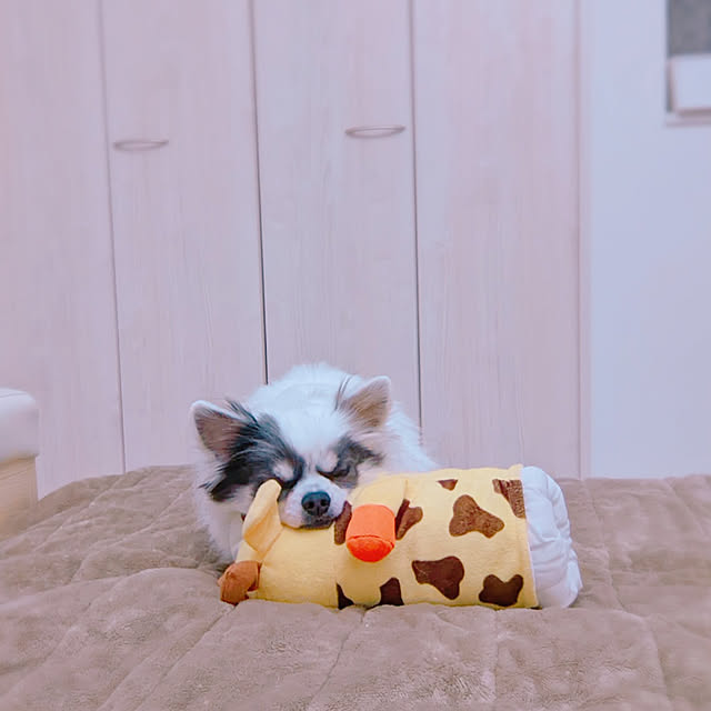 bjhorusさんの実例写真