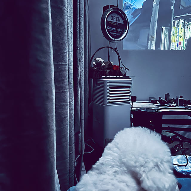 chacoさんの部屋