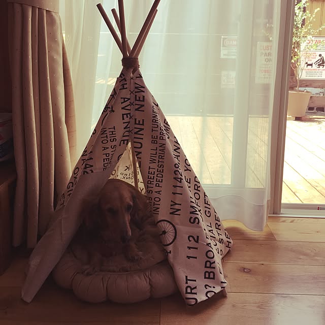 Hanaさんの実例写真