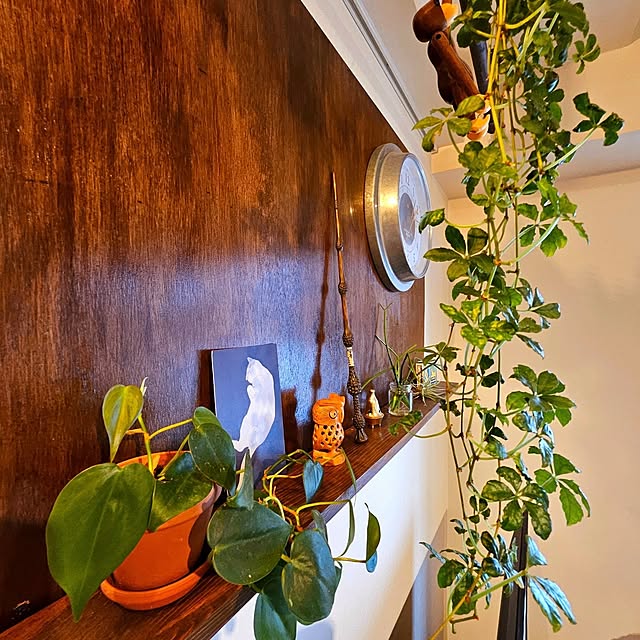 TAREさんの部屋
