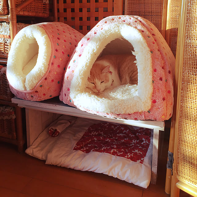 naworinさんの実例写真