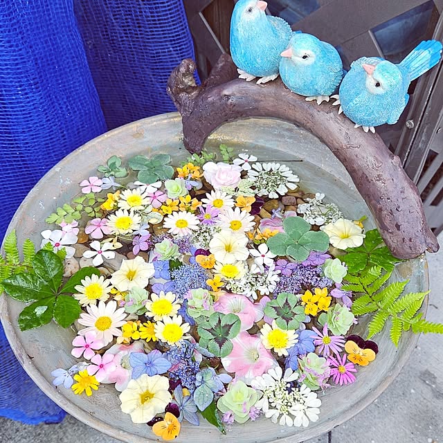 mocomocoさんの実例写真