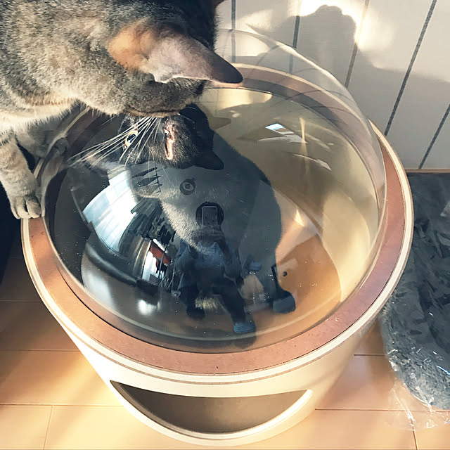 yuki0511さんの実例写真