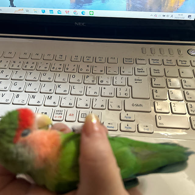 t.and.sakuraさんの実例写真