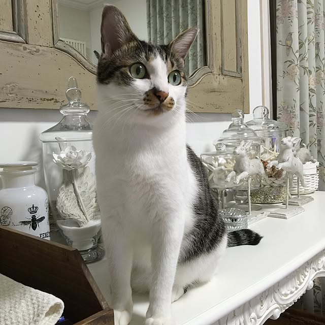 yuchiさんの実例写真