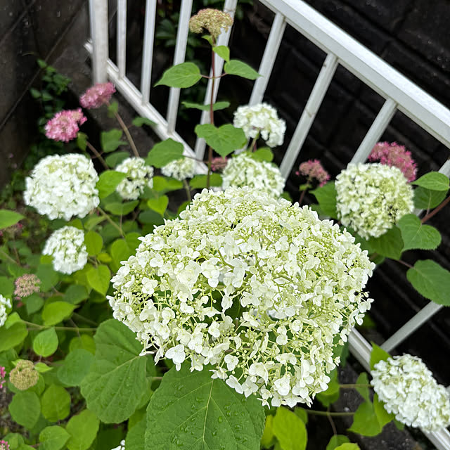 yokoさんの実例写真