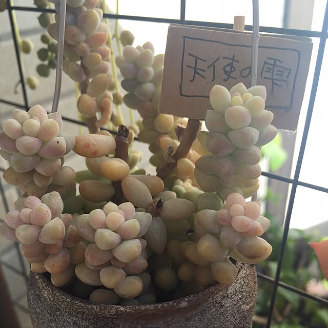 k-grainさんの実例写真