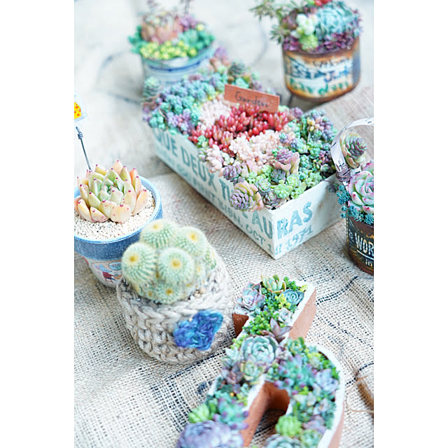 yumikoさんの実例写真