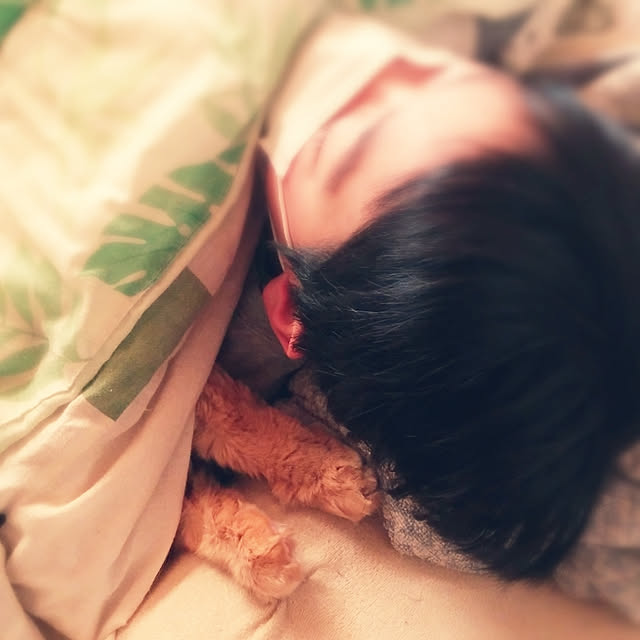 実例写真