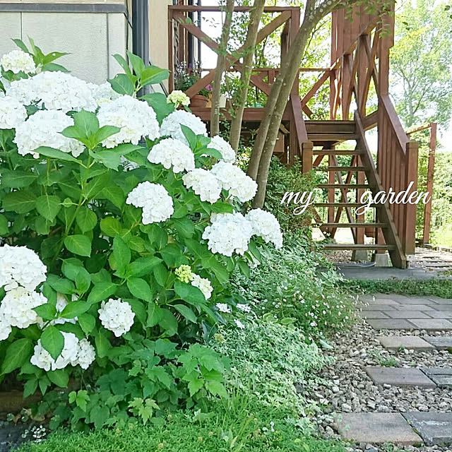 ai.happyplaceさんの実例写真