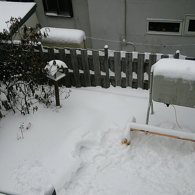 riさんの実例写真